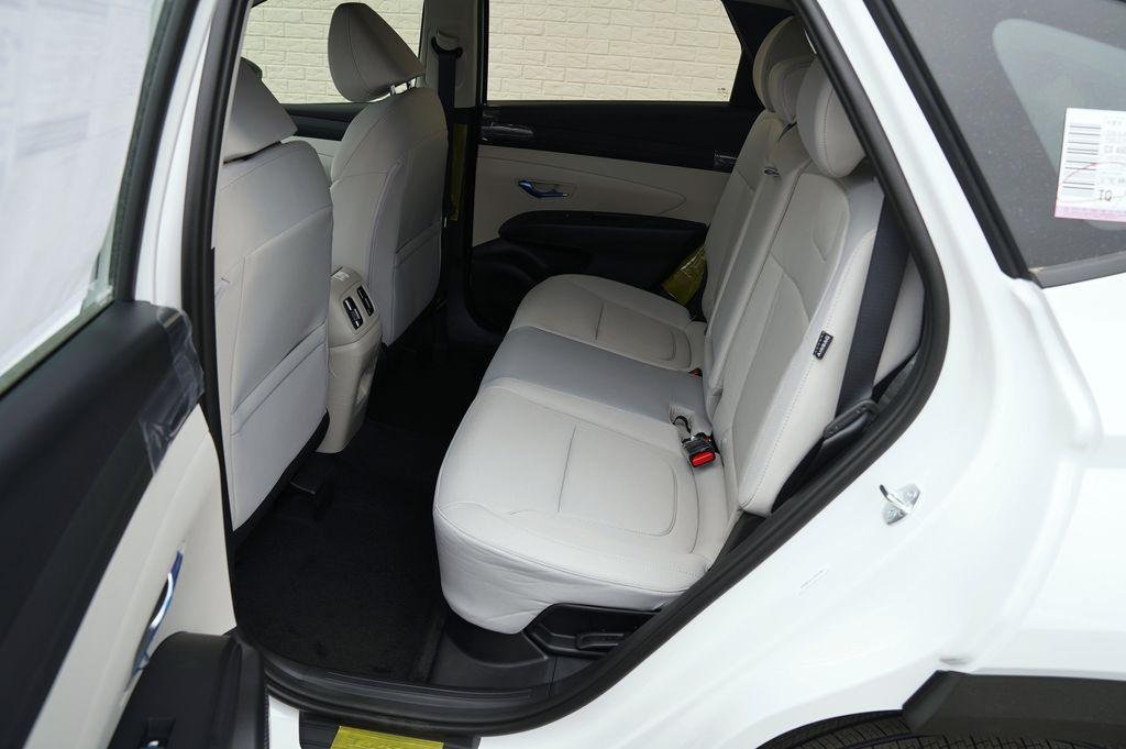 New 2026 Creamy White Pearl Hyundai Blue SE image 21