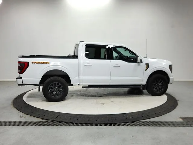 Used 2023 White Ford Tremor image 9