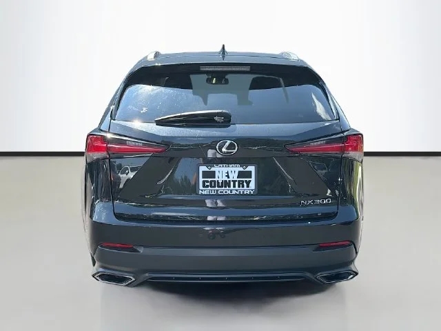 Used 2018  Lexus 300 Base image 6