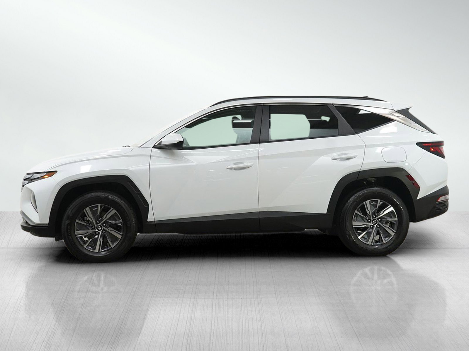 Certified 2024 Hyundai Tucson Blue with VIN KM8JBCD18RU233239 for sale in Minneapolis, Minnesota