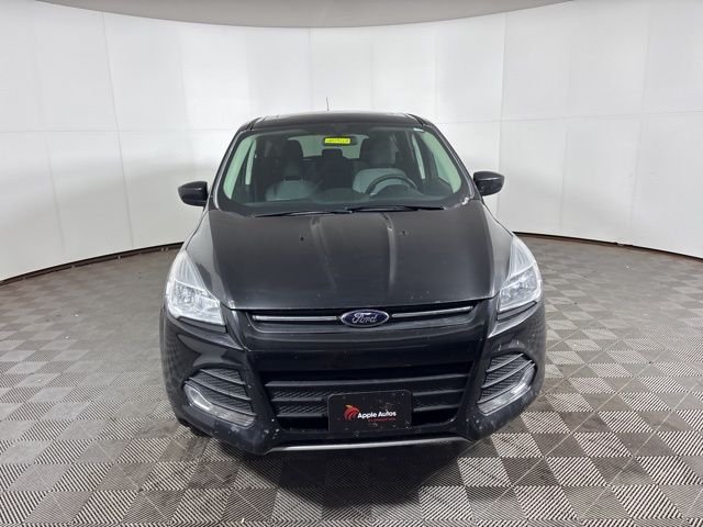 Used 2015 Ford Escape SE with VIN 1FMCU9G95FUB08606 for sale in Shakopee, MN