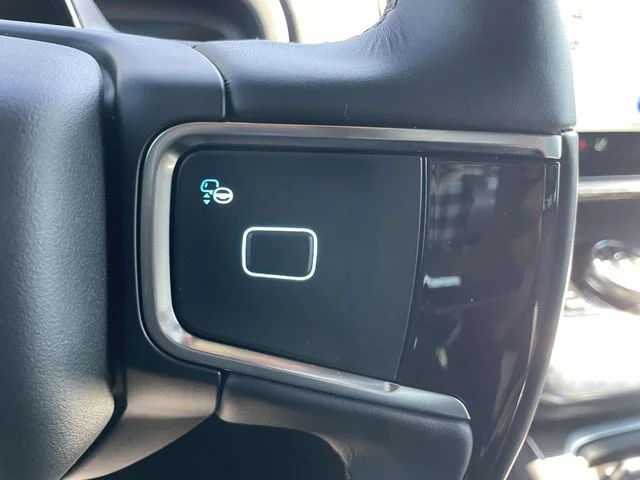2025 Ford Expedition Tremor - Photo 10