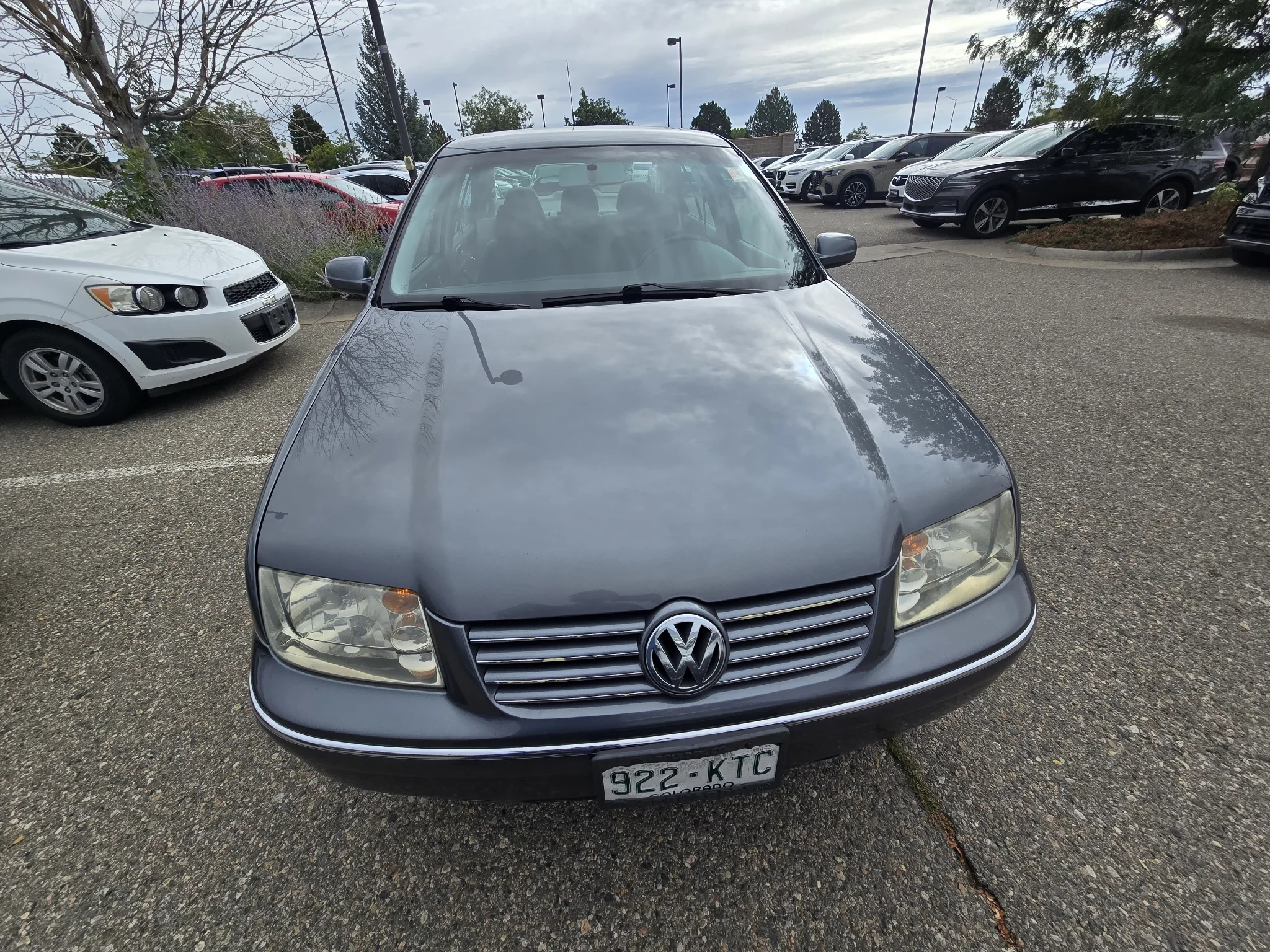 Used 2004 Brown Volkswagen GLS TDI image 9