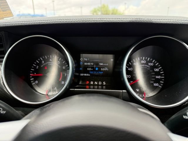 2023 Ford Mustang EcoBoost - Photo 13