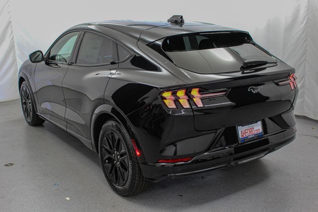 New 2026 Shadow Black Ford Premium image 6