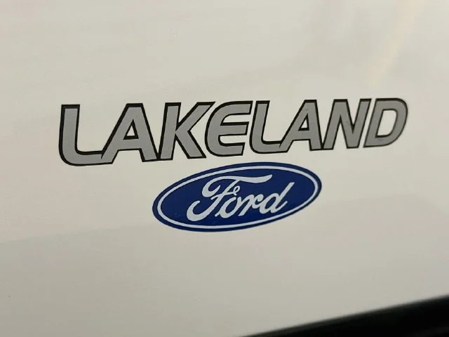 New 2026 White Ford Platinum image 30