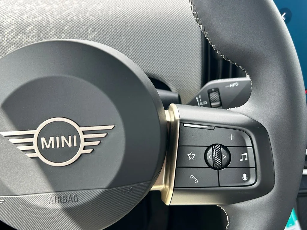New 2026 Green MINI Signature Plus image 19