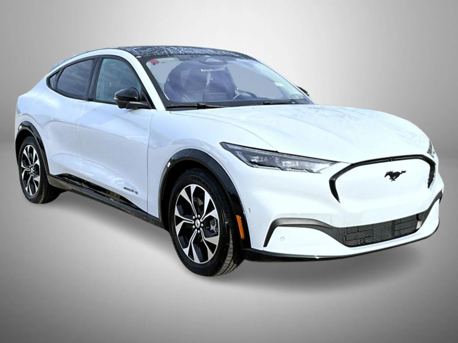 Used 2023 White Ford Premium image 3