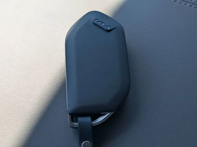 New 2026 Panthera Metal Kia LXS image 34