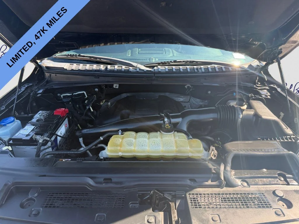 Used 2019 Black Ford Limited image 18