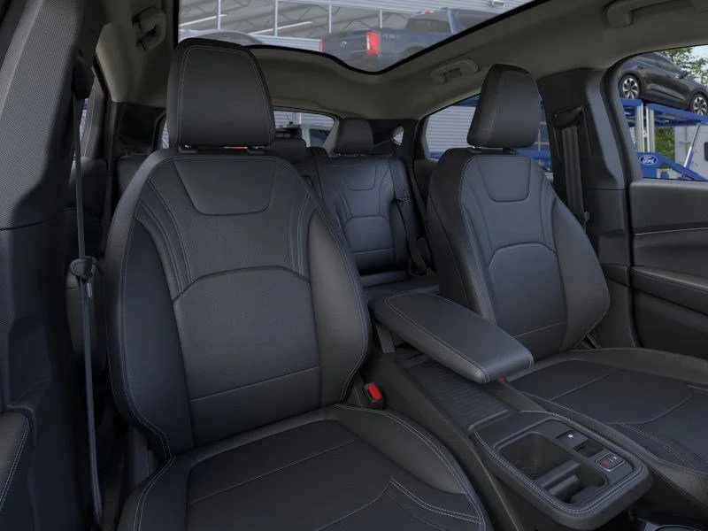 New 2026 Shadow Black Ford Premium image 10