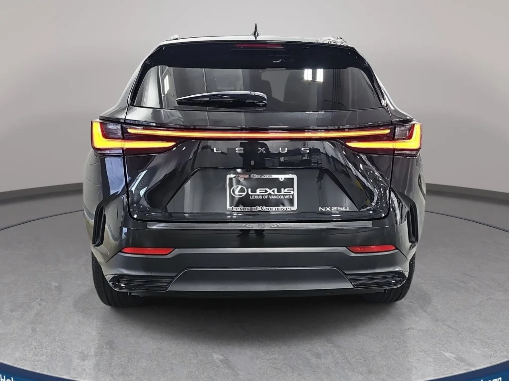 Used 2025 Black Lexus 250 Premium image 7