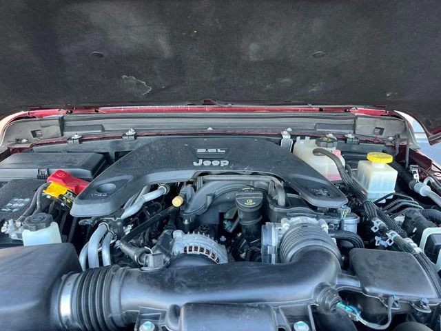 Photo 41