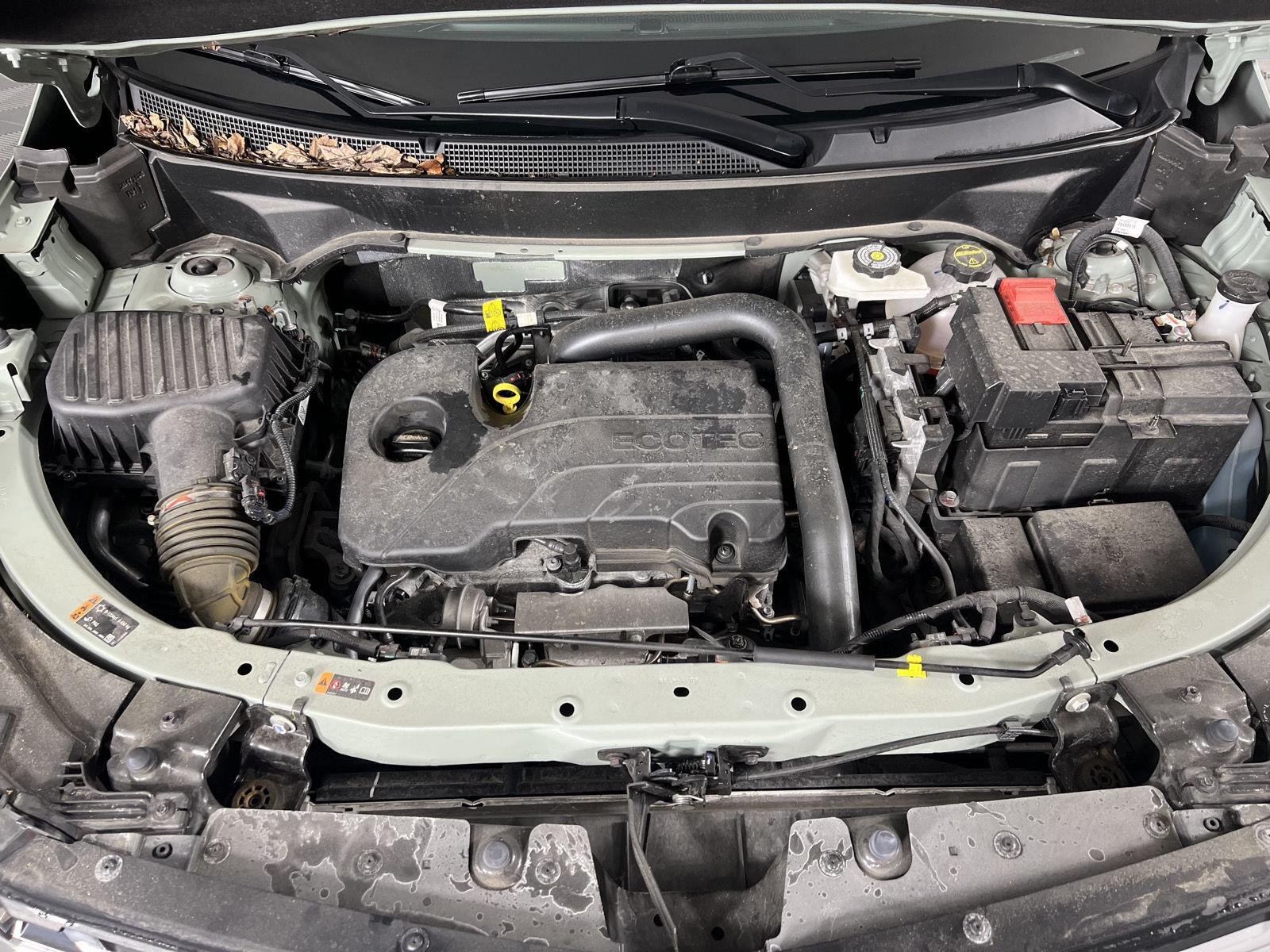 Used 2025 Cacti Green Chevrolet AWD LT image 24