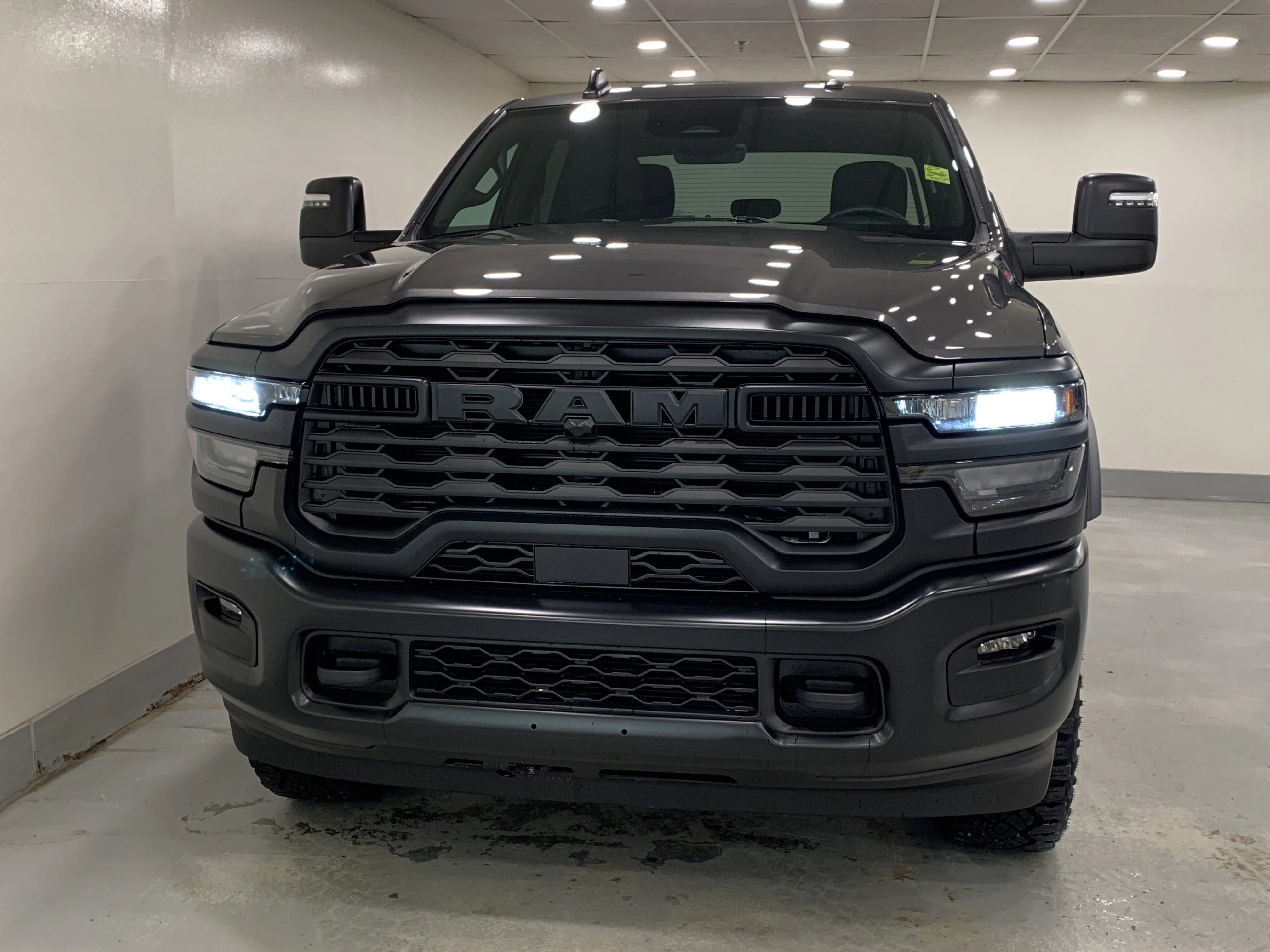 New 2026 Granite Crystal Metallic Ram Warlock image 4