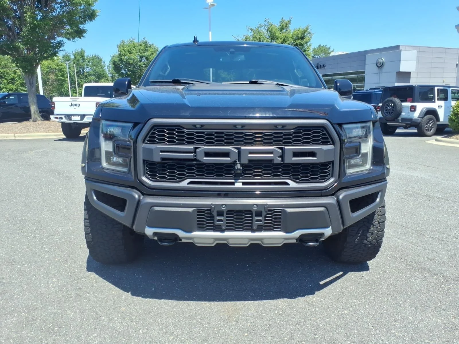 Used 2019 Agate Black Metallic Ford Raptor image 15