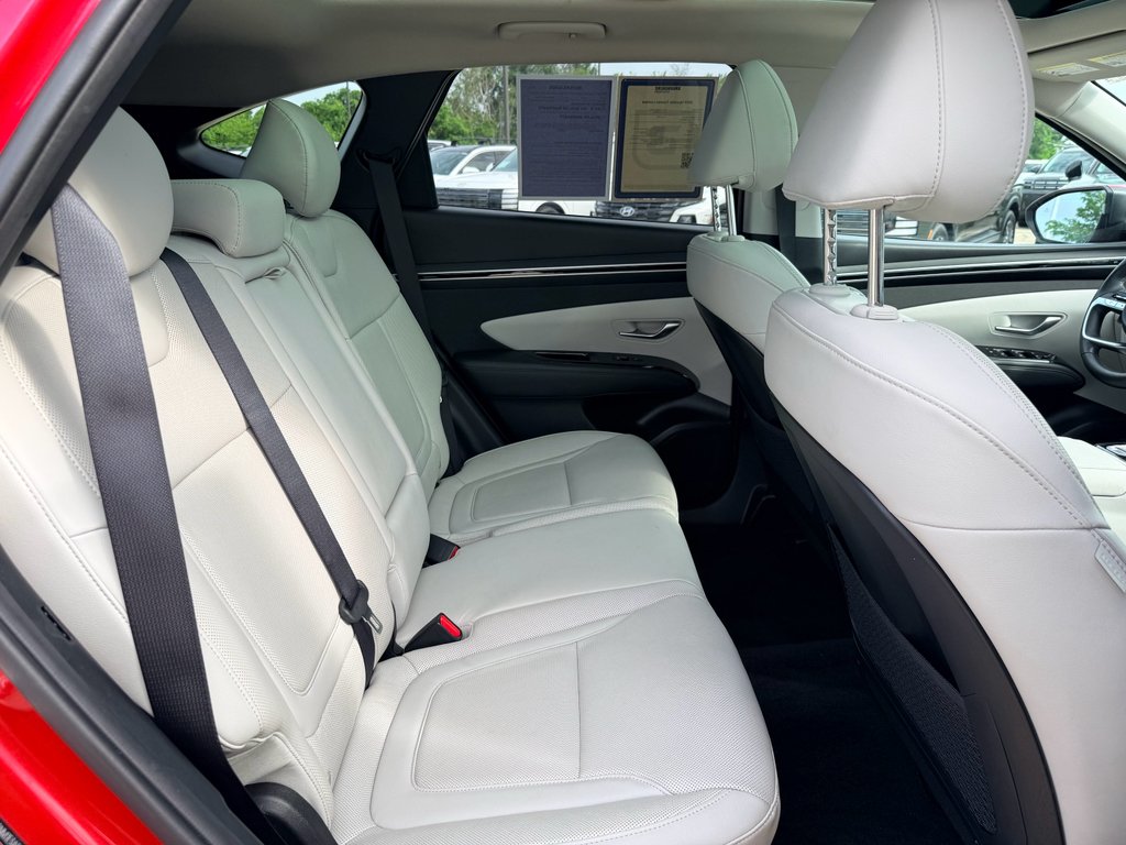 Certified Used 2023 Calypso Red Hyundai Limited image 25