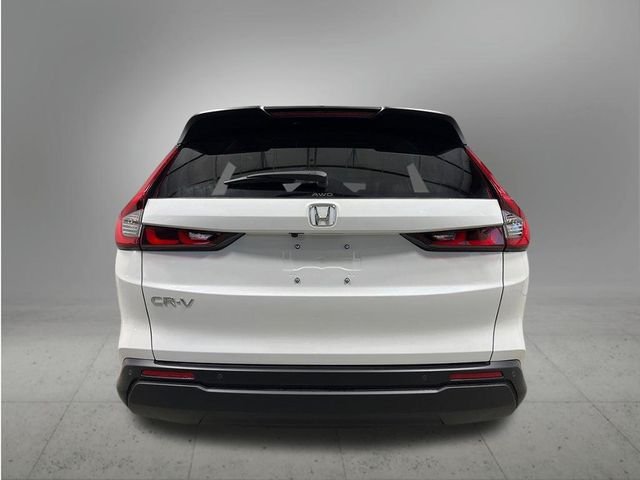 New 2026 Platinum White Pearl Honda EX-L image 4