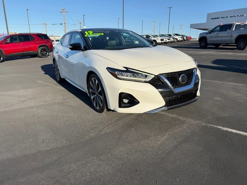 Used 2019 Pearl White Trico Nissan Platinum image 1