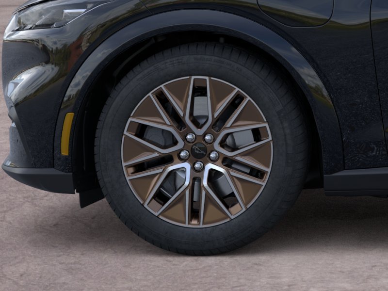 New 2026 Shadow Black Ford Premium image 19