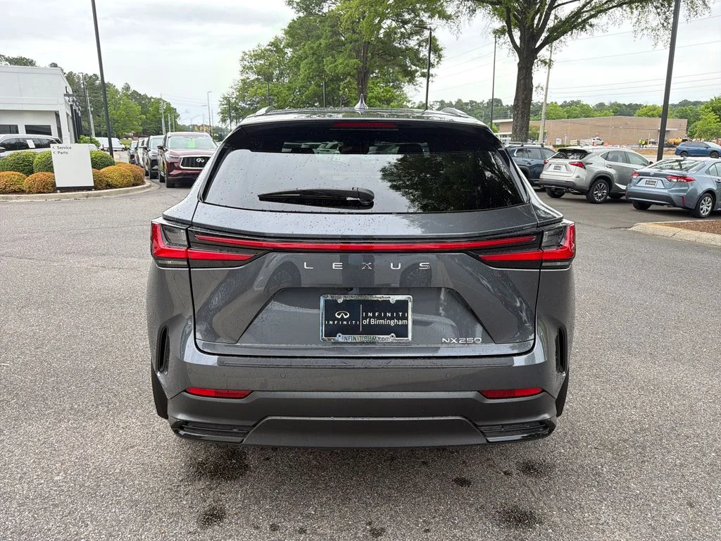 2025 Lexus NX 250 - Photo 11