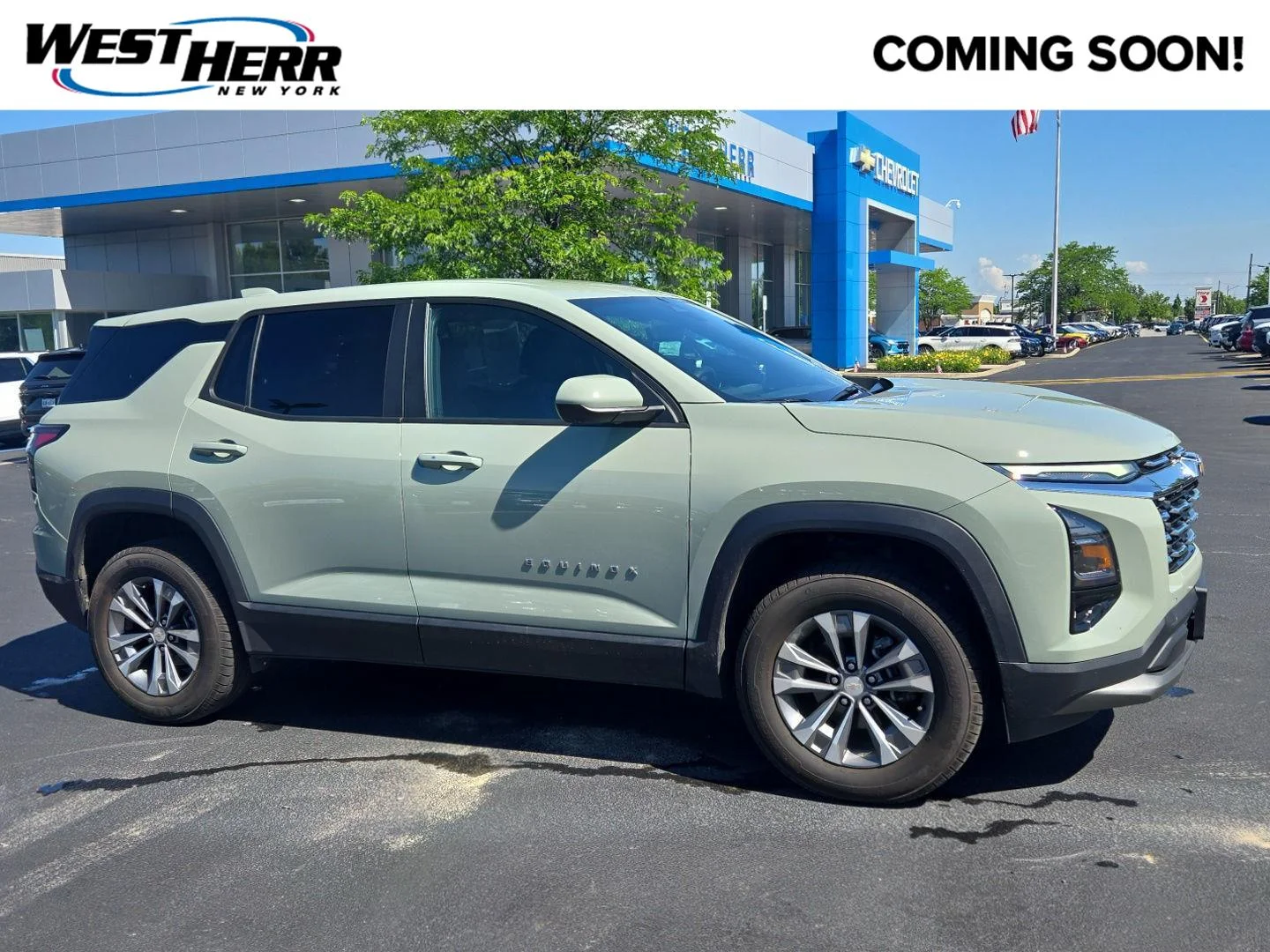 Used 2025 Cacti Green Chevrolet AWD LT image 1