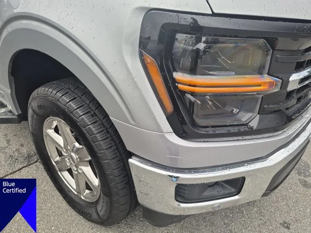 Used 2024 Silver Ford XLT image 9