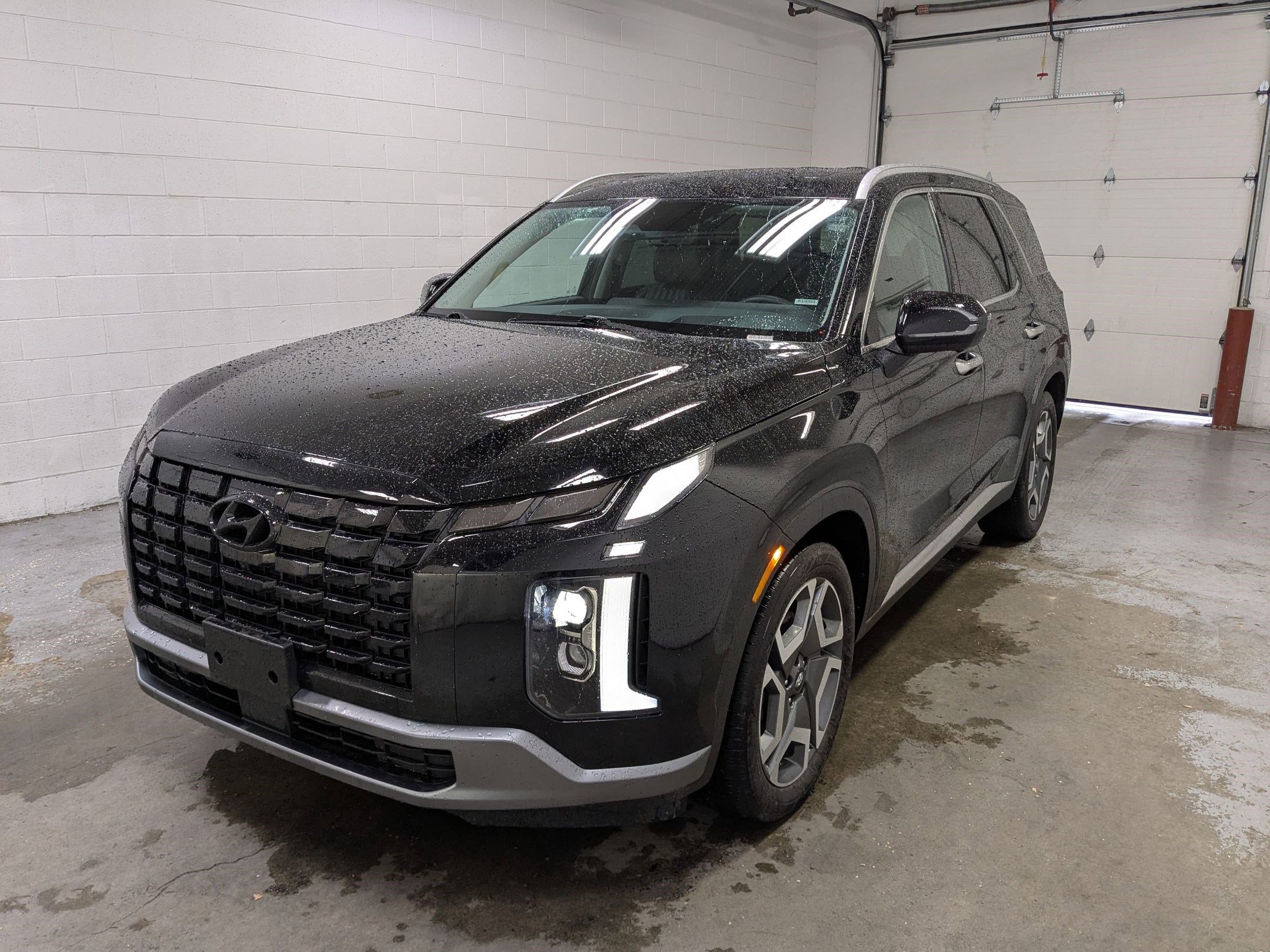 2025 Hyundai Palisade Limited - Photo 9