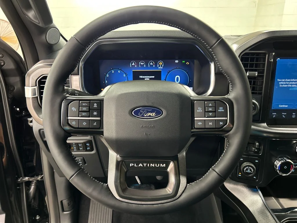 New 2026 Black Ford Platinum image 19