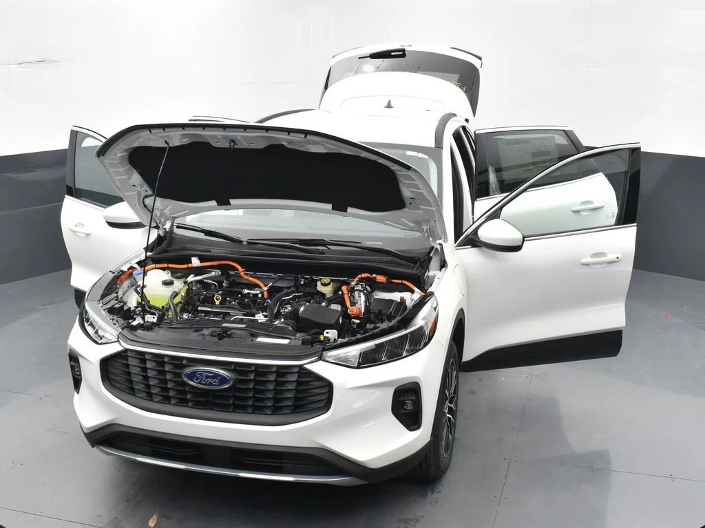 New 2025 White Ford Base image 37