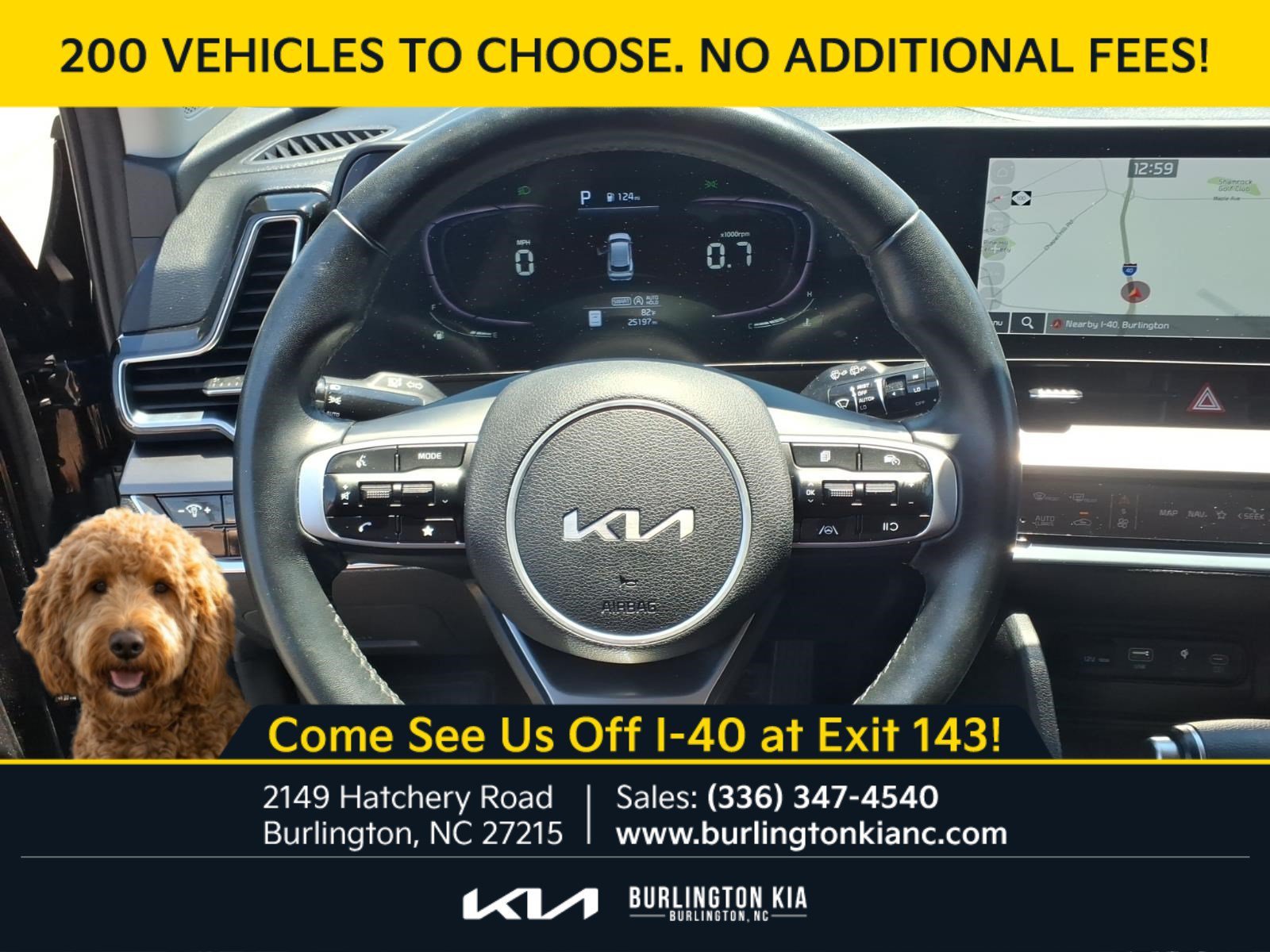Certified Used 2024 Ebony Black Kia EX image 20