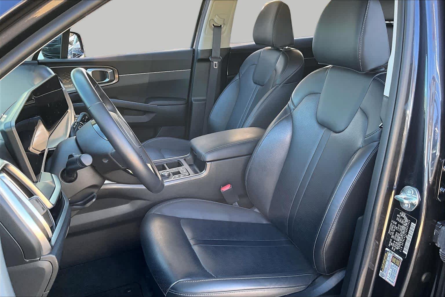 Used 2025 Panthera Metal Kia S image 7