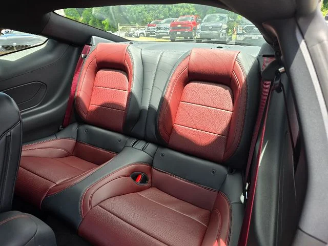 2025 Ford Mustang EcoBoost Premium Fastback - Photo 19