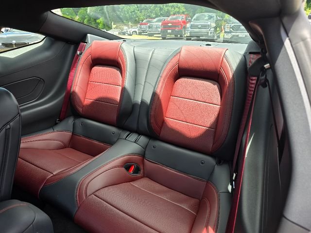 2025 Ford Mustang EcoBoost Premium Fastback - Photo 11