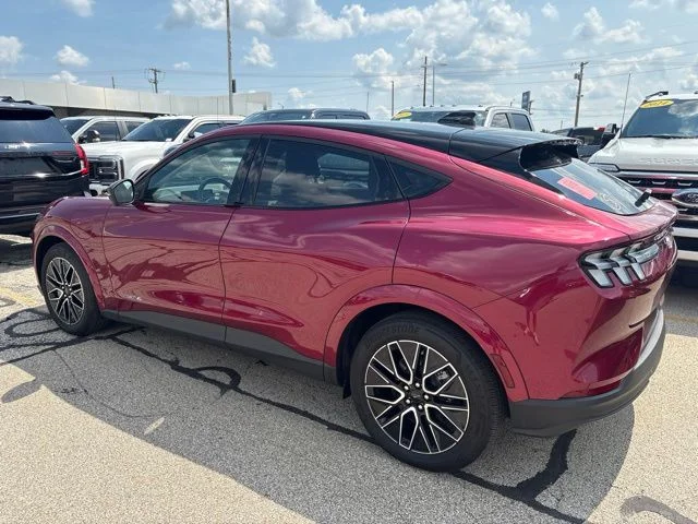 Used 2025 Magenta Ford Premium image 5