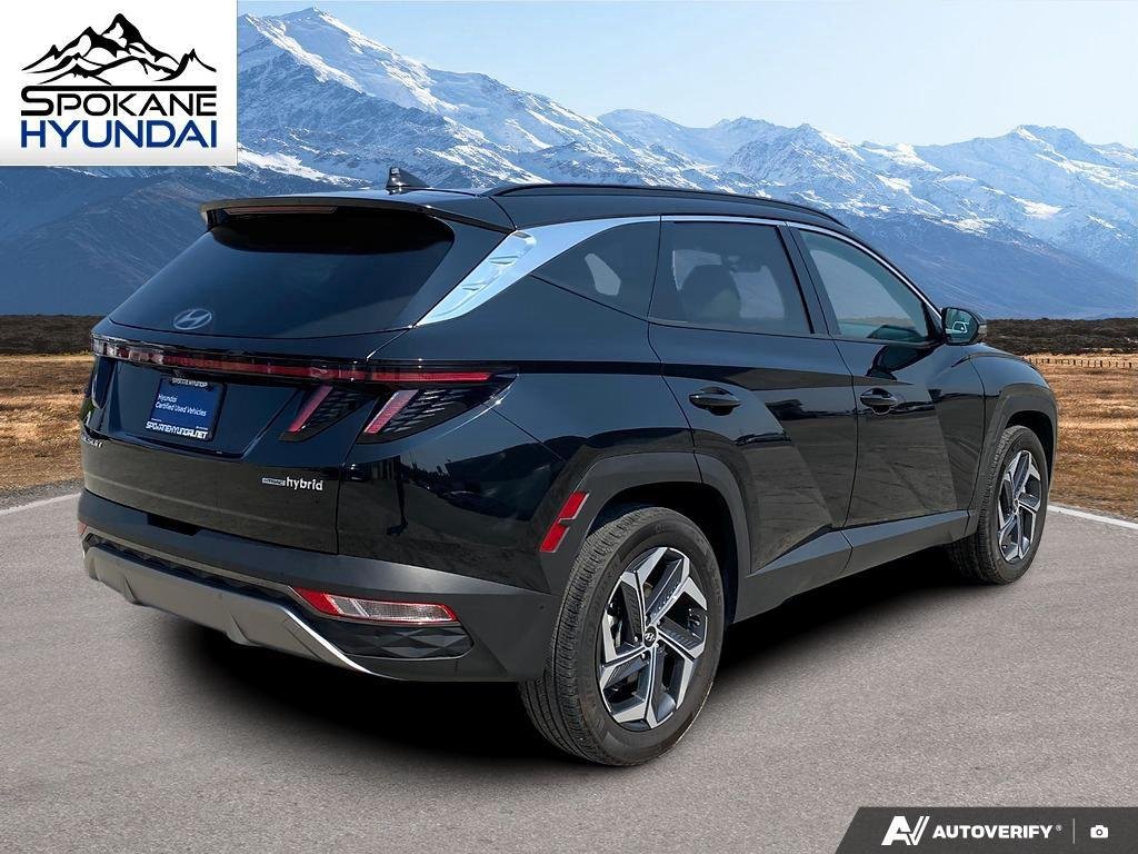 Certified Used 2024 Black Pearl Hyundai Limited image 6