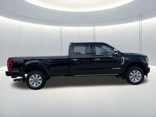 Used 2022  Ford Platinum image 6