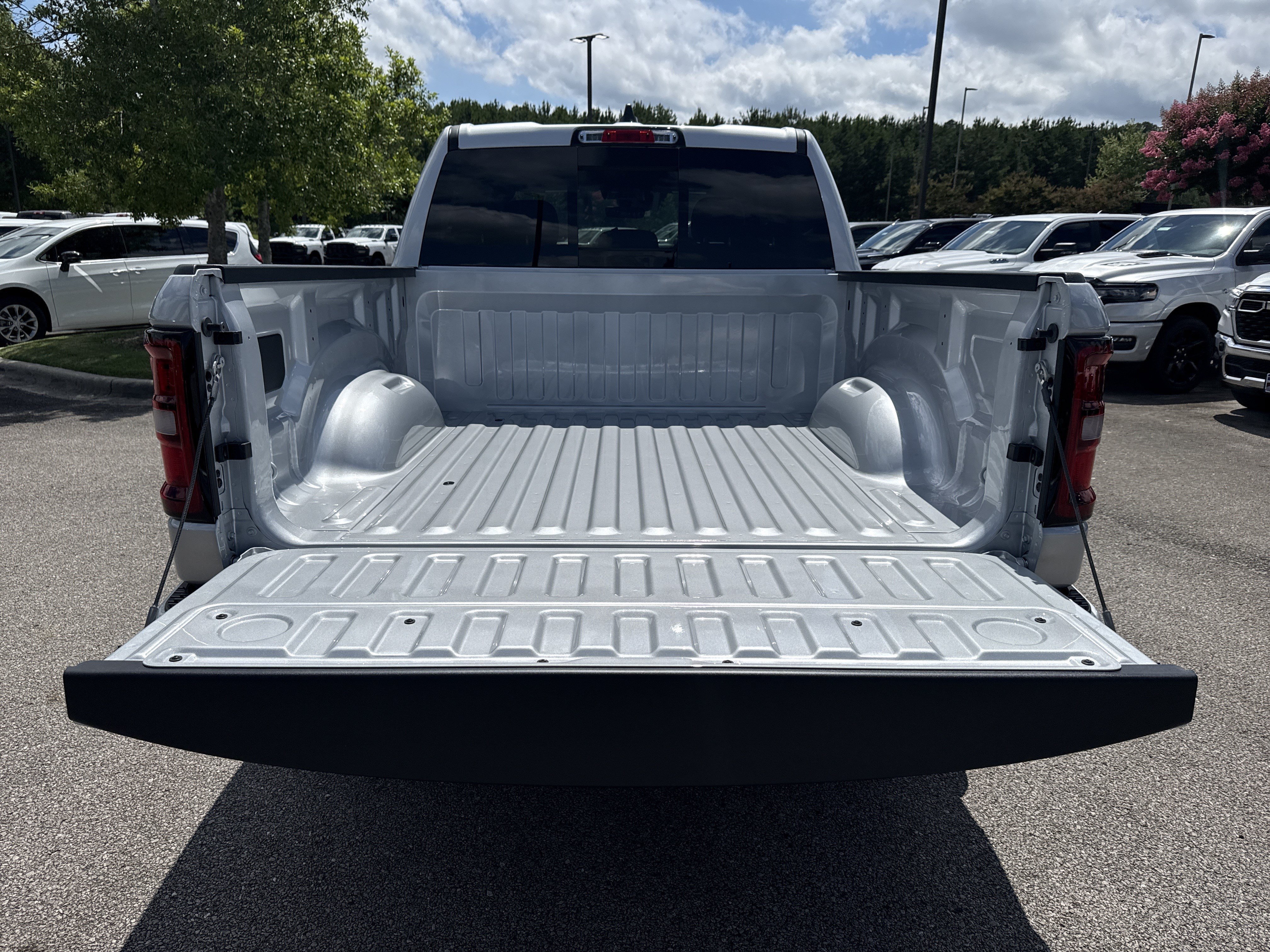New 2026 Silver Zynith Exterior Paint RAM Express image 18