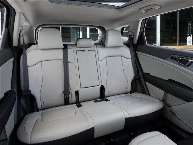 New 2026 Panthera Metal Gray Kia EX image 16