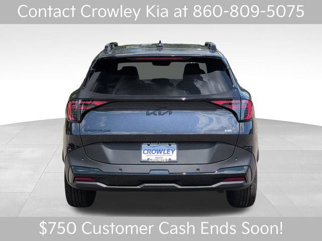 New 2026 Panthera Metal Kia X-Line image 5