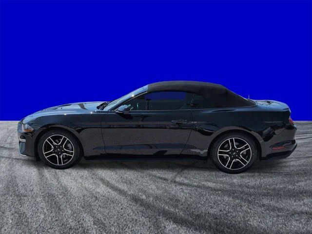 Used 2019 Black Ford EcoBoost Premium image 7