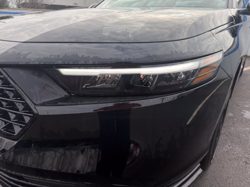 New 2026 Crystal Black Pearl Honda Sport-L image 9