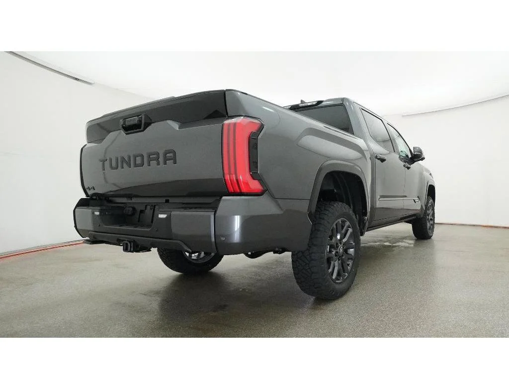 New 2026 Magnetic Gray Metallic Toyota Platinum image 24