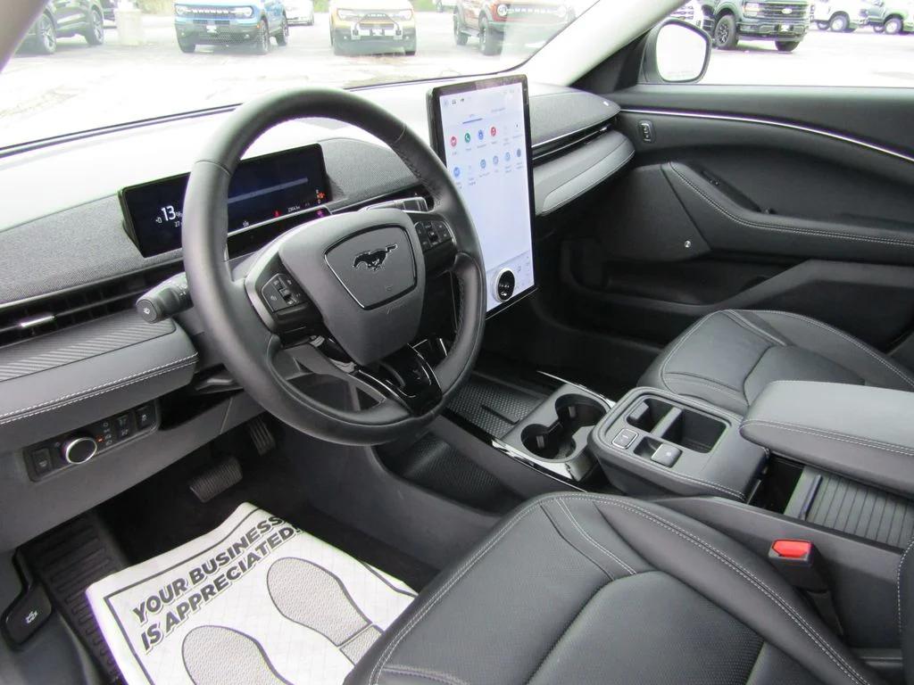 Used 2025 Star White Ford Premium image 10