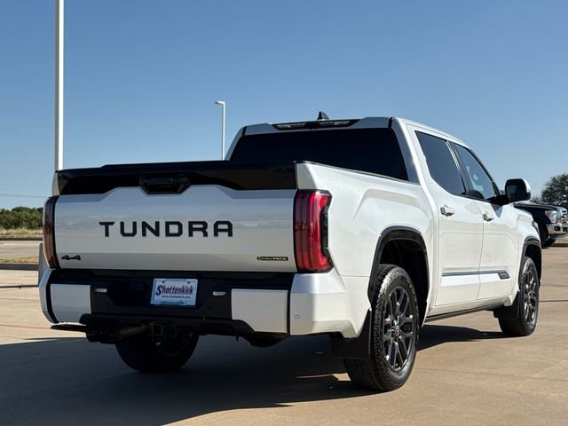 Used 2025 Beige Toyota Platinum image 9