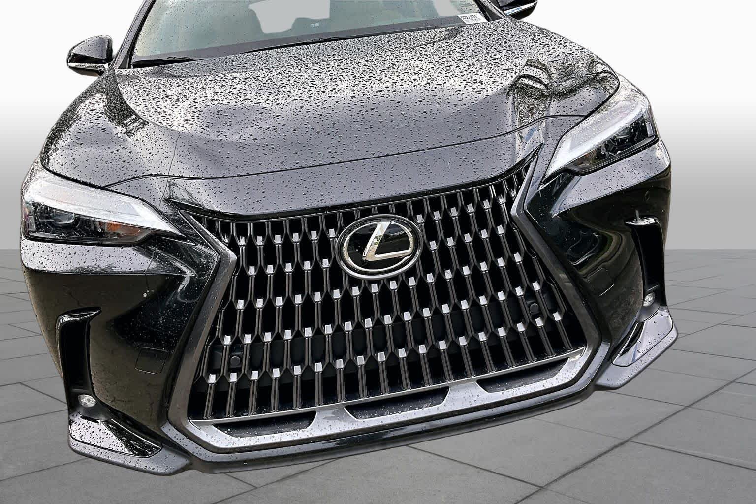 Used 2025 Caviar Lexus Premium image 30
