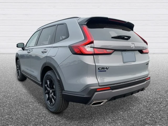 New 2026 Urban Gray Pearl Honda Sport image 4