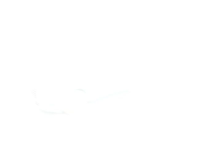 2024 Hyundai Palisade Calligraphy - Photo 13