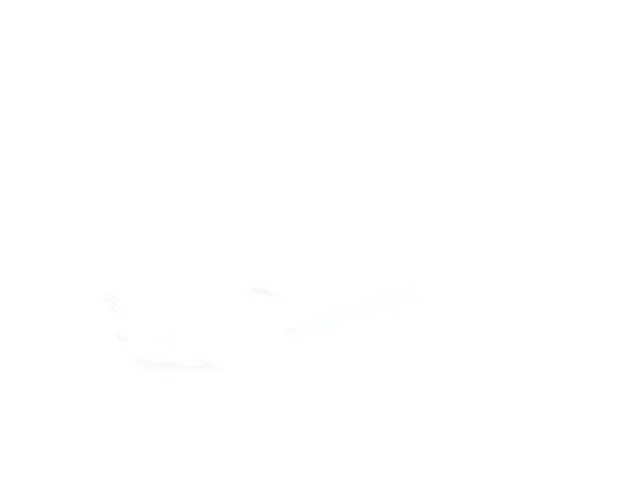 Used 2024 White Hyundai Calligraphy image 13