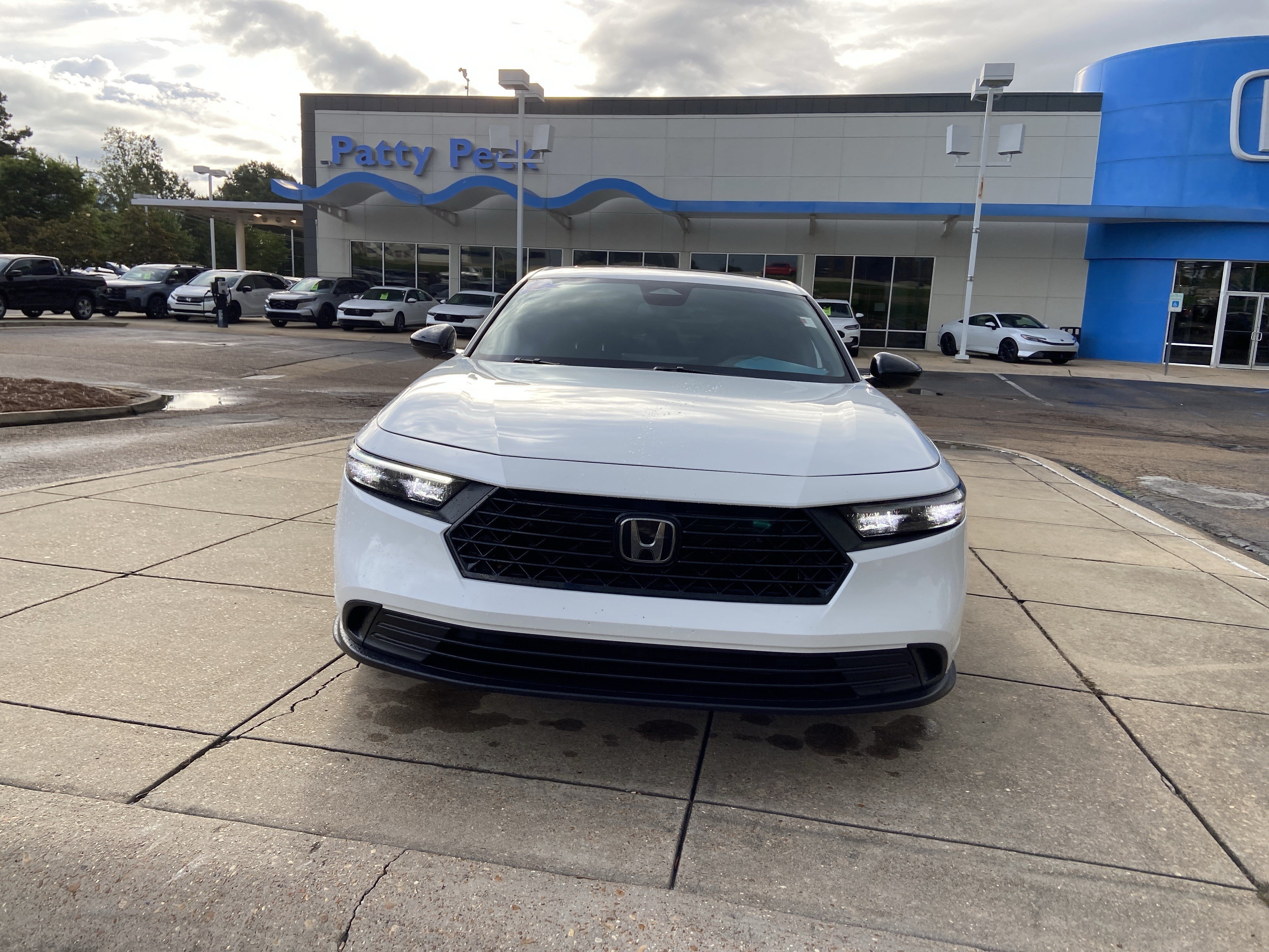 Used 2024 Platinum White Pearl Honda Sport image 3